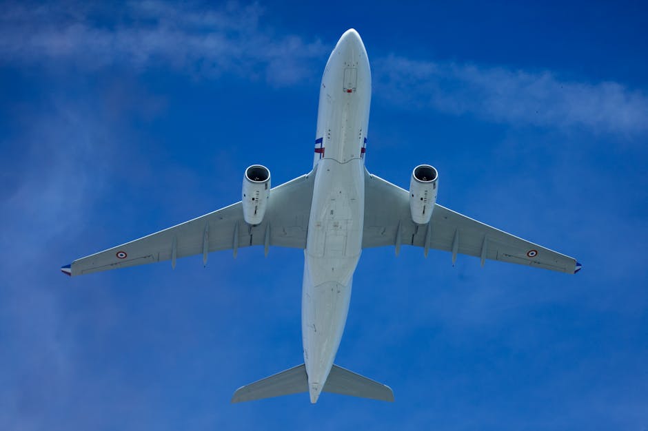 baby airplane travel long flight family