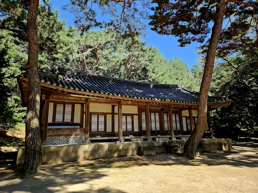 Korean coastal pine forest wetland wildflowers quiet nature walk