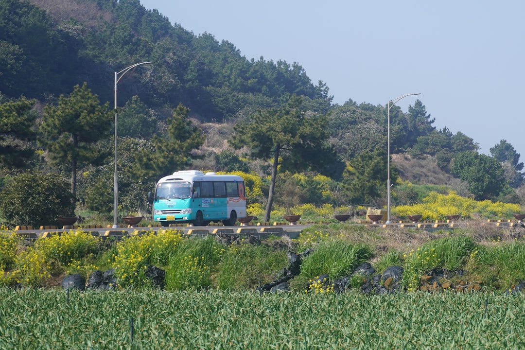 Jeju island family travel scenic road children