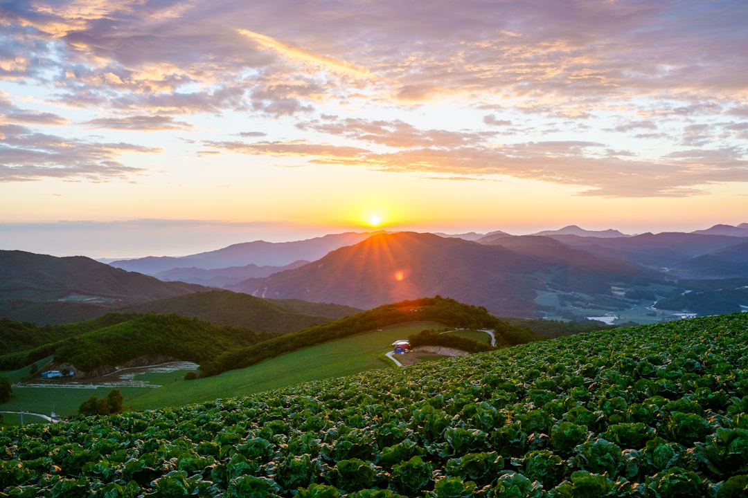 hidden travel destination Korea countryside scenic road
