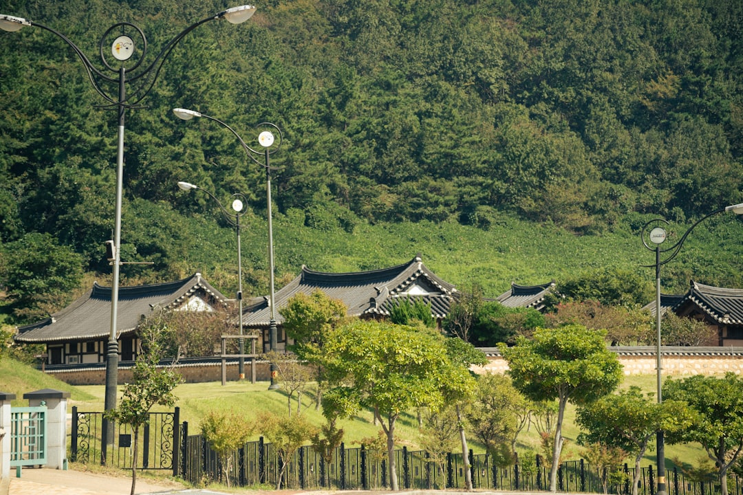 Namhae terraced rice fields coastal village Korea scenic