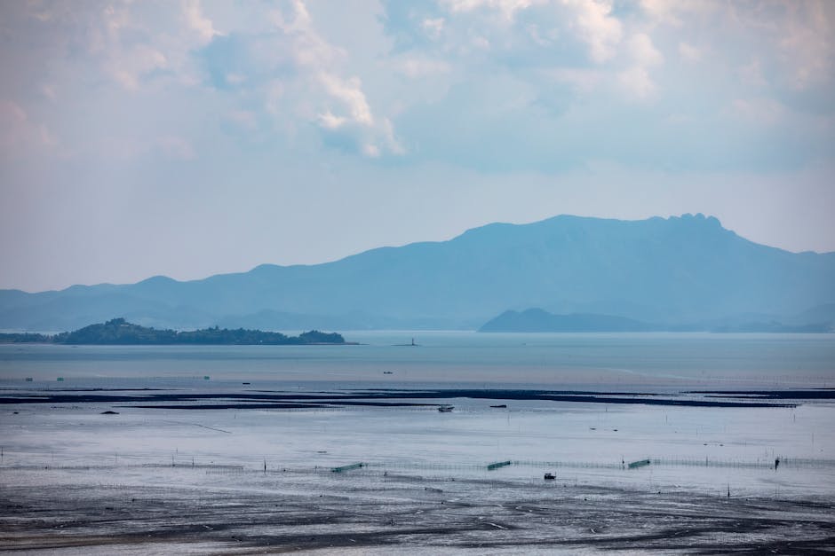 Suncheon Bay National Garden family Korea scenic view