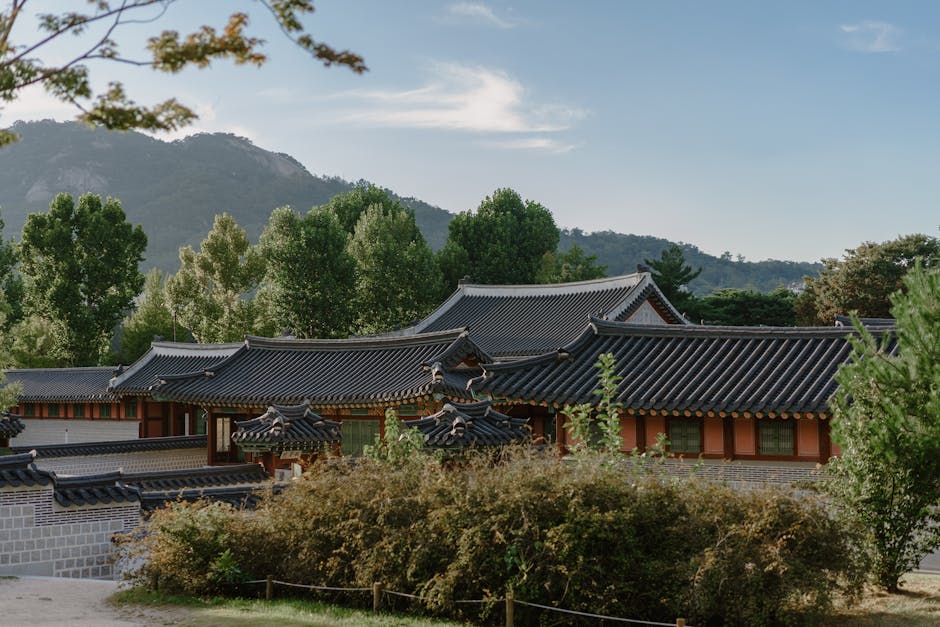 Korean countryside traditional house elderly village autumn sunset