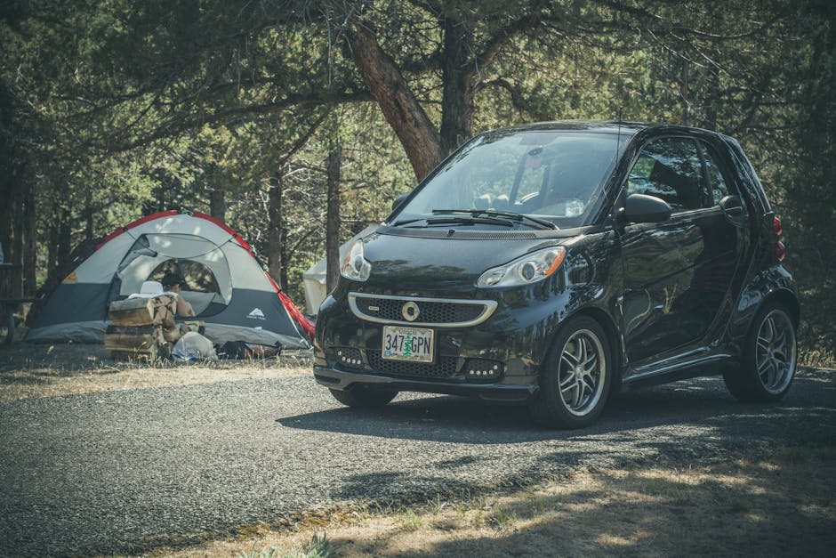 family road trip cooking campsite national park budget