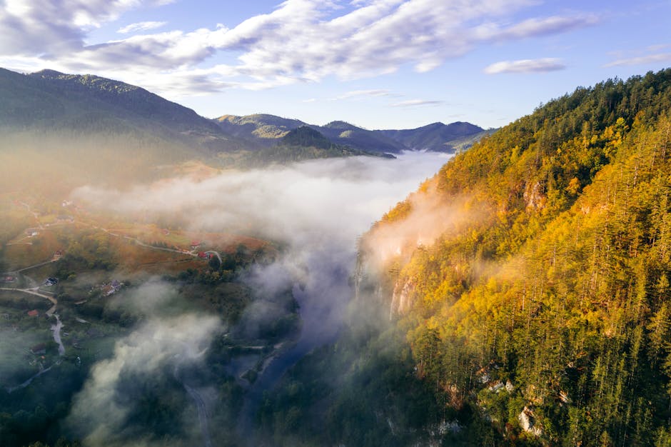 misty Korean countryside small town river valley morning fog