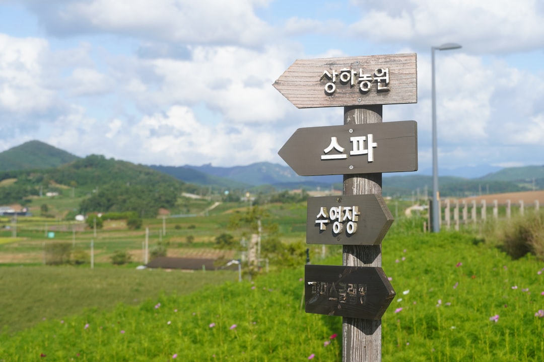 Gyeonggi-do countryside hidden travel destination Korea spring landscape