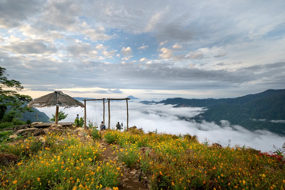 Korea wild flower mountain trail summer solo hiker peaceful nature