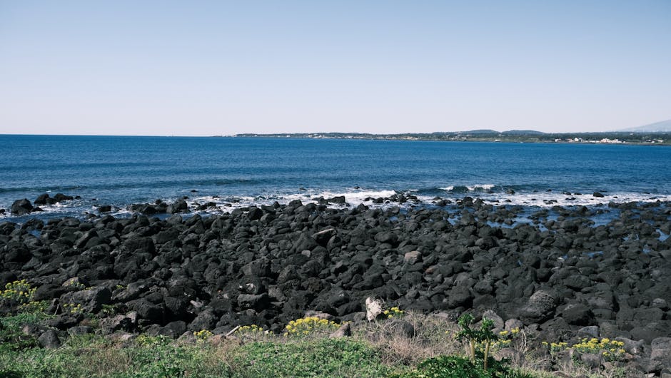 Jeju hidden coastal trail volcanic rocks sunrise solitude 2026