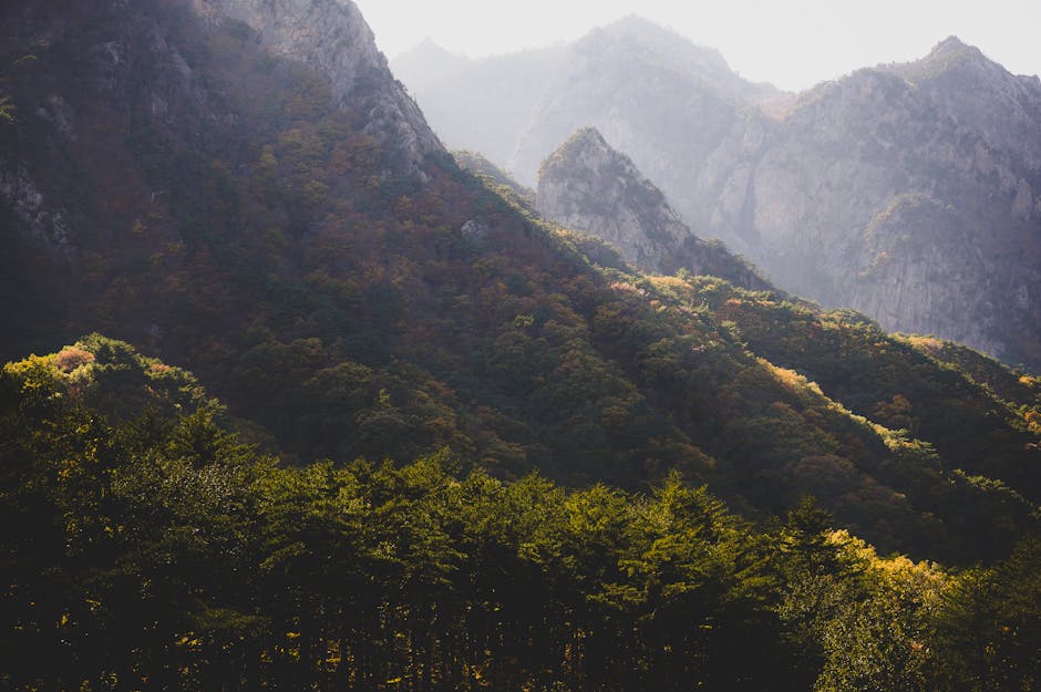 Korea hidden valley secret forest travel nature calm