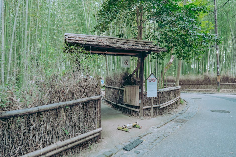 Kyoto Japan family grandparents children bamboo grove accessible travel
