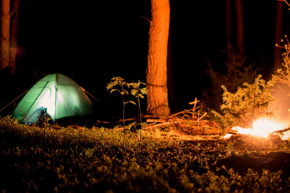 family glamping nature campfire stars night