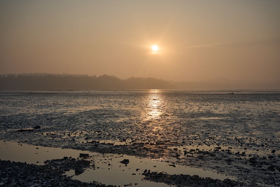 South Korea tidal mudflat sunrise trekker silhouette coastal trail