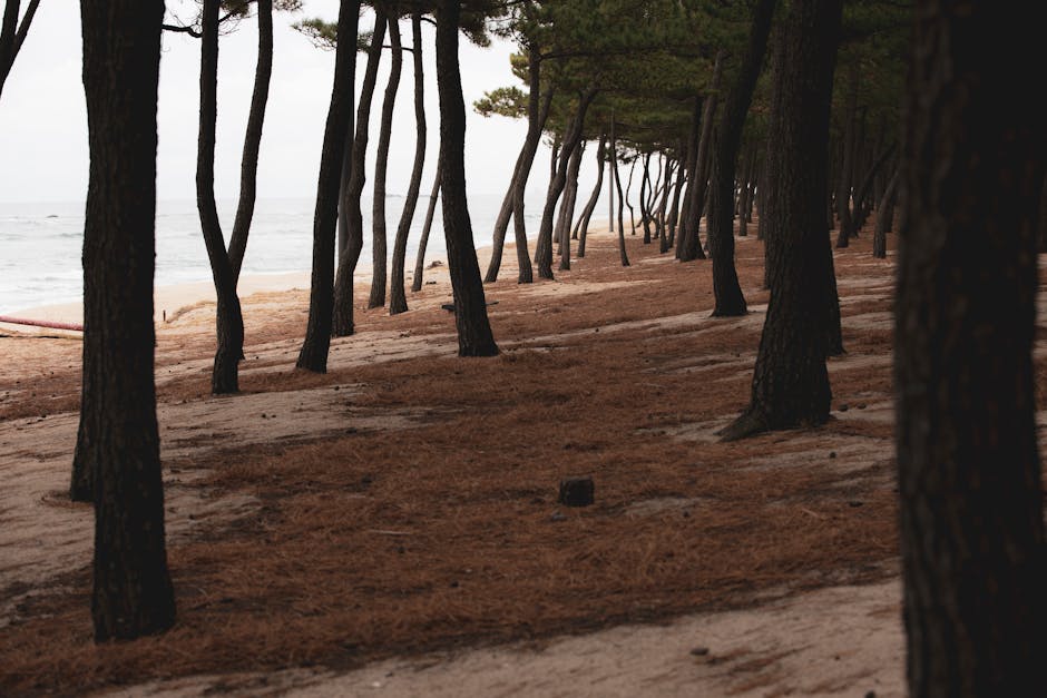 Korea hidden coastal trail, Gyeongnam sea walk path