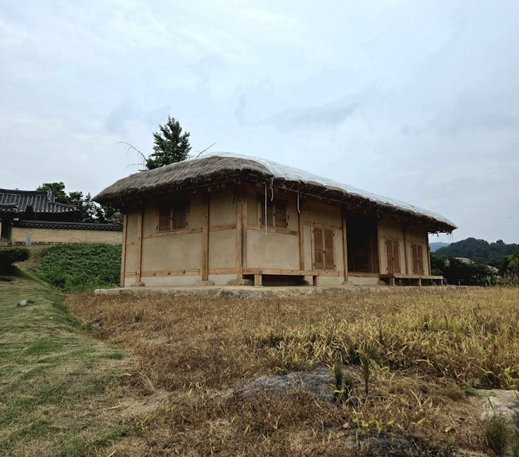 Korean rural countryside hidden trail, bamboo forest village path Korea