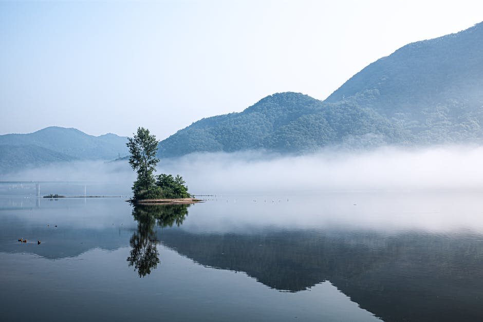 Gapyeong Jara Island camping river Korea, family tent campsite riverside