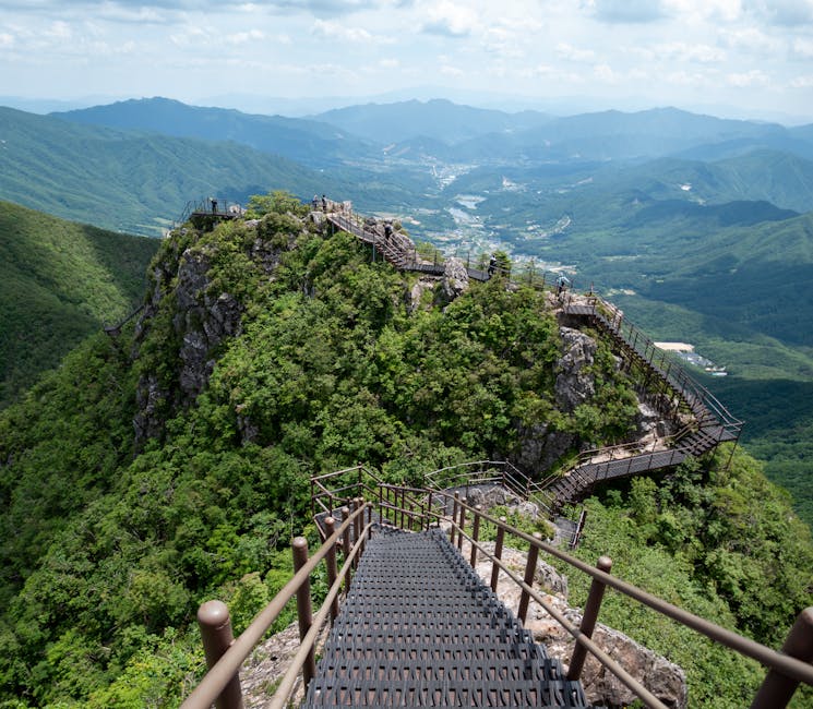 hidden valley Korea secret forest trail summer