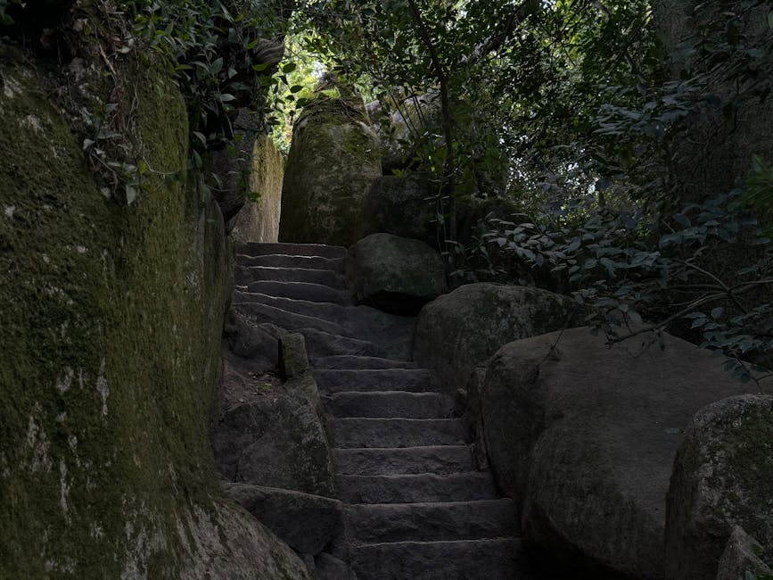 hidden village Korea misty valley, secret trail moss stone path