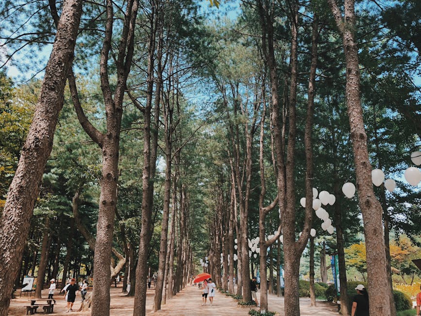 Legoland Korea Chuncheon 2026, Lego theme park family children