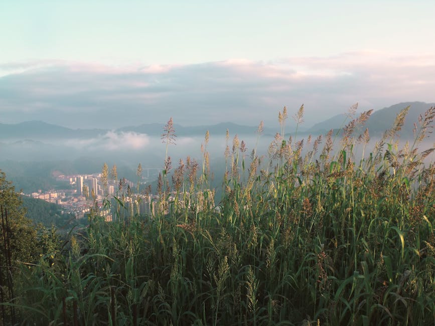 hidden trail Korea nature secret valley morning mist