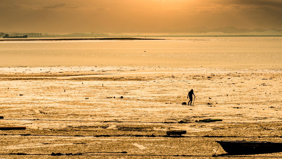 tidal flat village Korea mudflat sunrise golden hour
