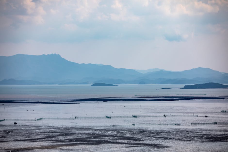Gochang wetlands tidal flats Korea, Imja Island empty beach South Korea