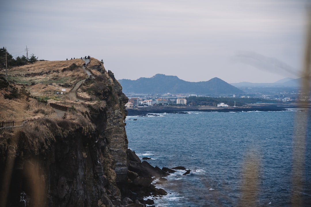 Jeju island family road trip, rental car travel savings