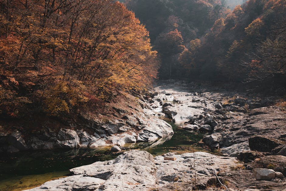 Ajimgari valley Korea trekking trail, remote mountain stream Korea