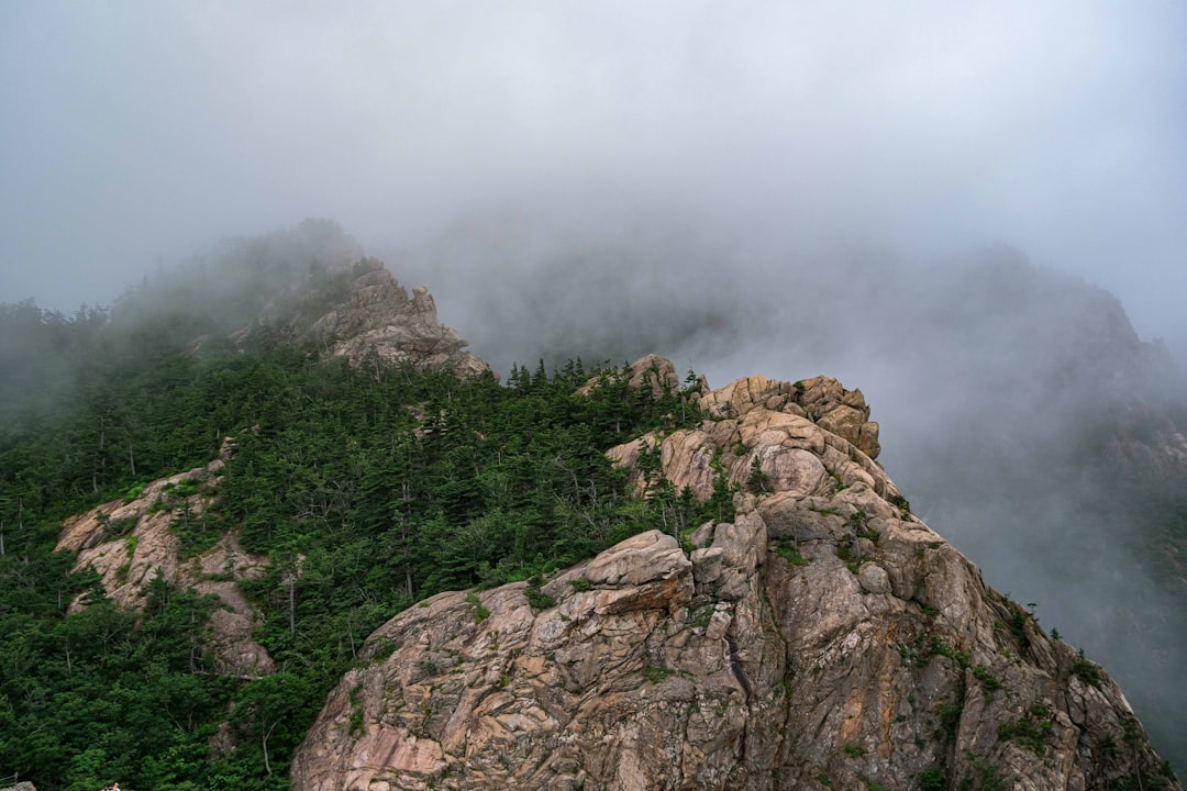 South Korea remote mountain trail, misty ridge wilderness hike