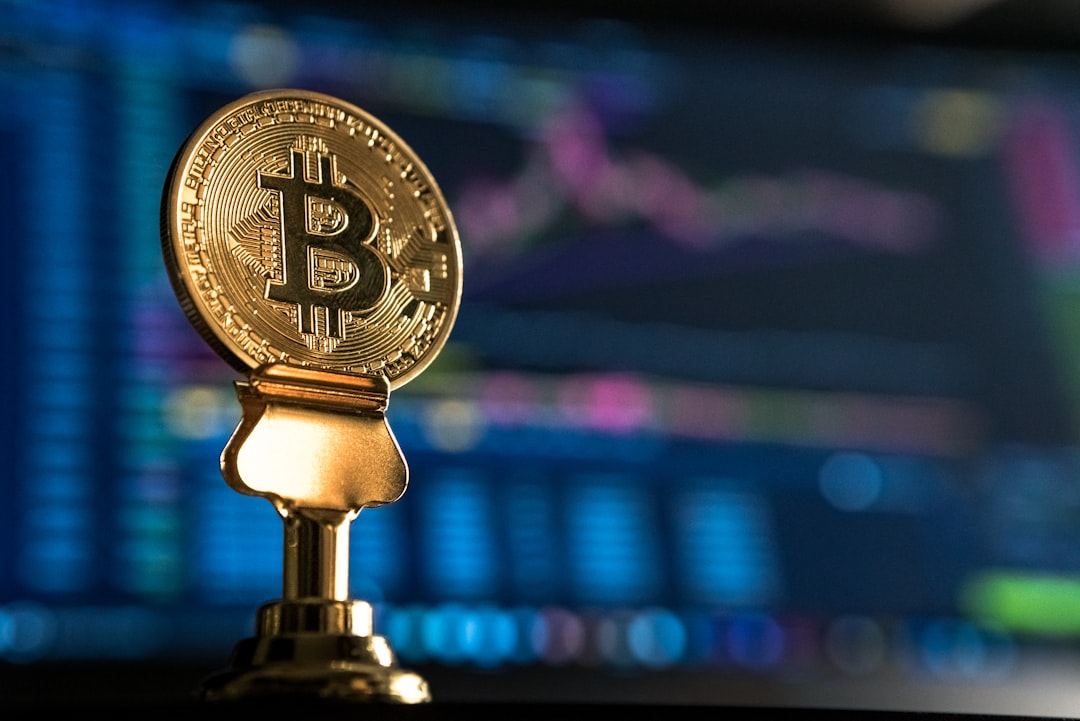 cryptocurrency risk management, bitcoin portfolio chart 2025