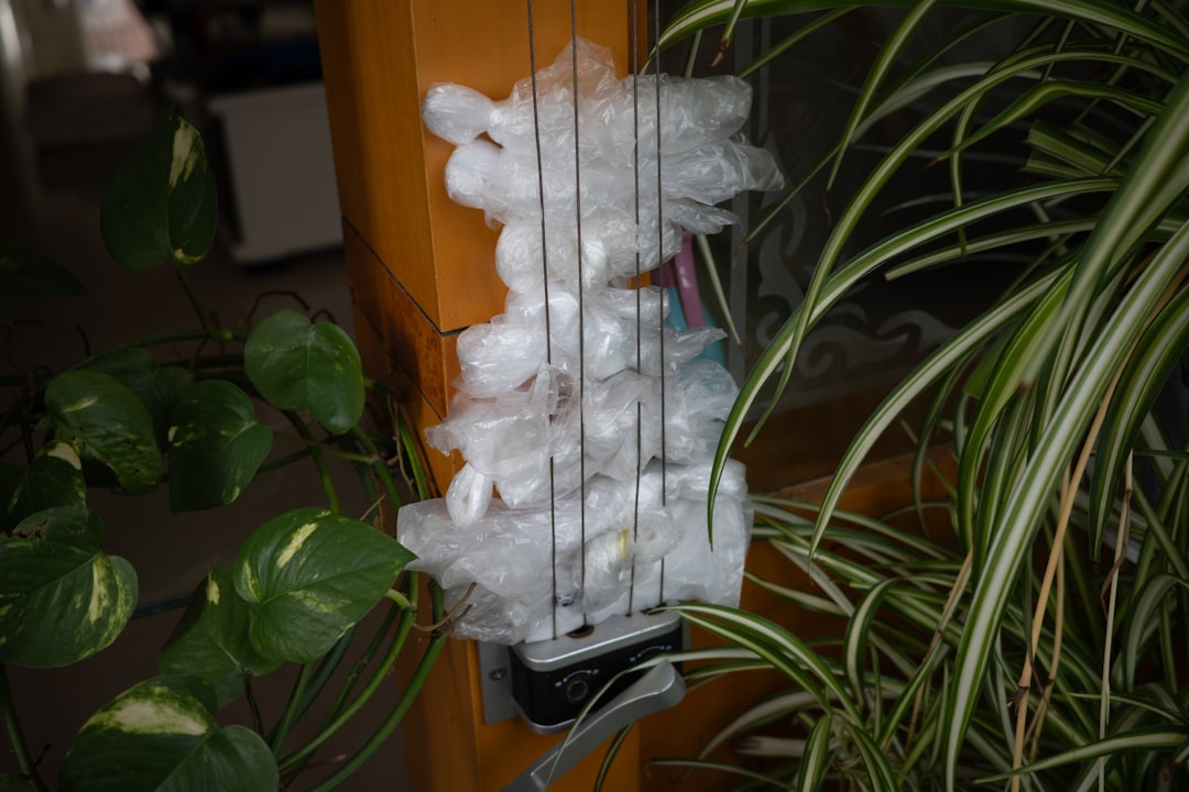 hydroponic lettuce NFT system, vertical grow setup indoor