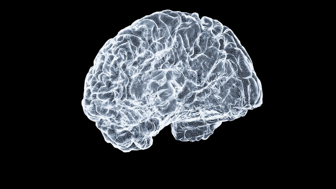 child brain development, language acquisition neural pathways